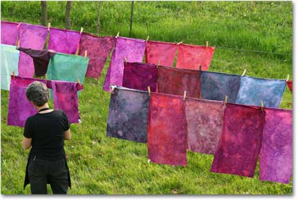 carol soderlund fabric dyeing class