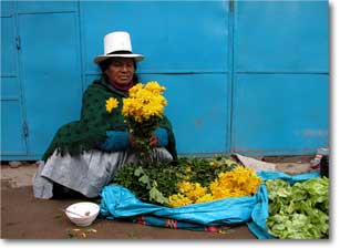 Peru craft tour