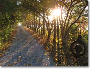 Crow Timber Frame Barn driveway