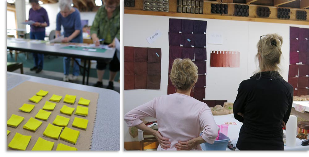 Carol Soderlund fabric dyeing workshops