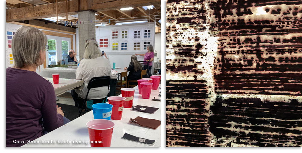 Carol Soderlund fabric dyeing workshops