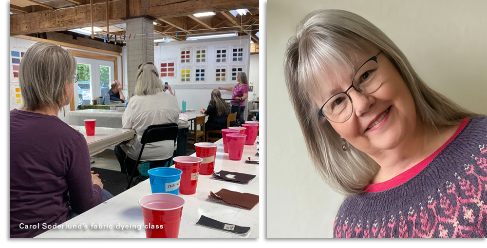 Carol Soderlund fabric dyeing workshops